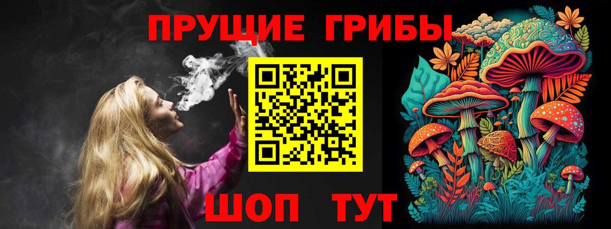 Псилоцибиновые грибы GOLDEN TEACHER  Псилоцибиновые грибы MAGIC MUSHROOMS  Псков  как найти   Вход с VPN 