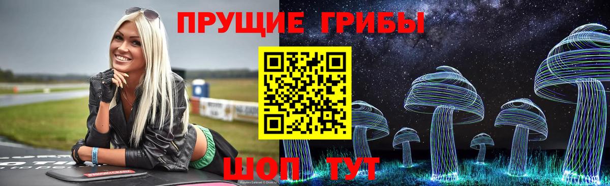 Галлюциногенные грибы GOLDEN TEACHER Псков